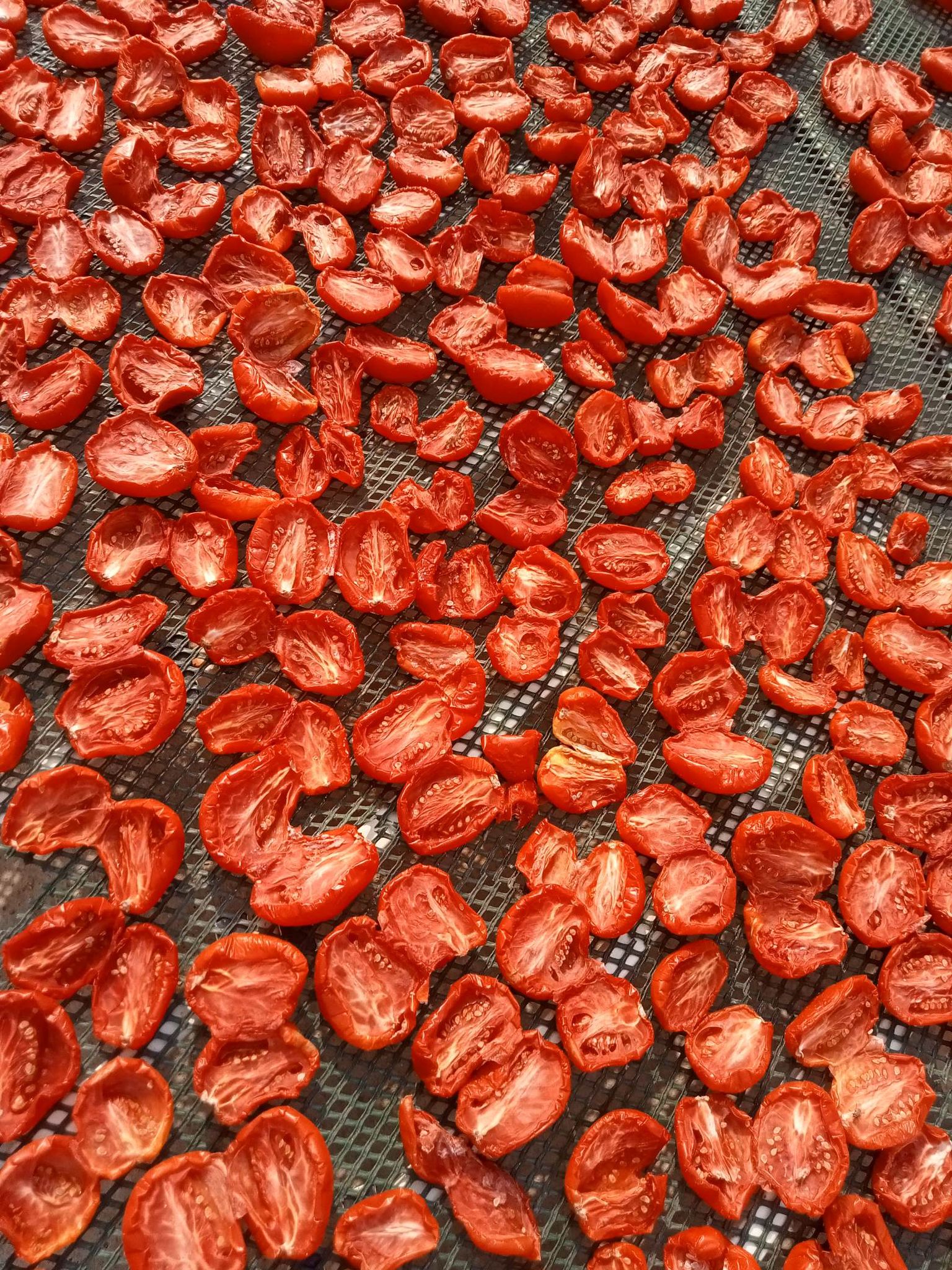 317061210_1285531535564998_1971404748239824490_n